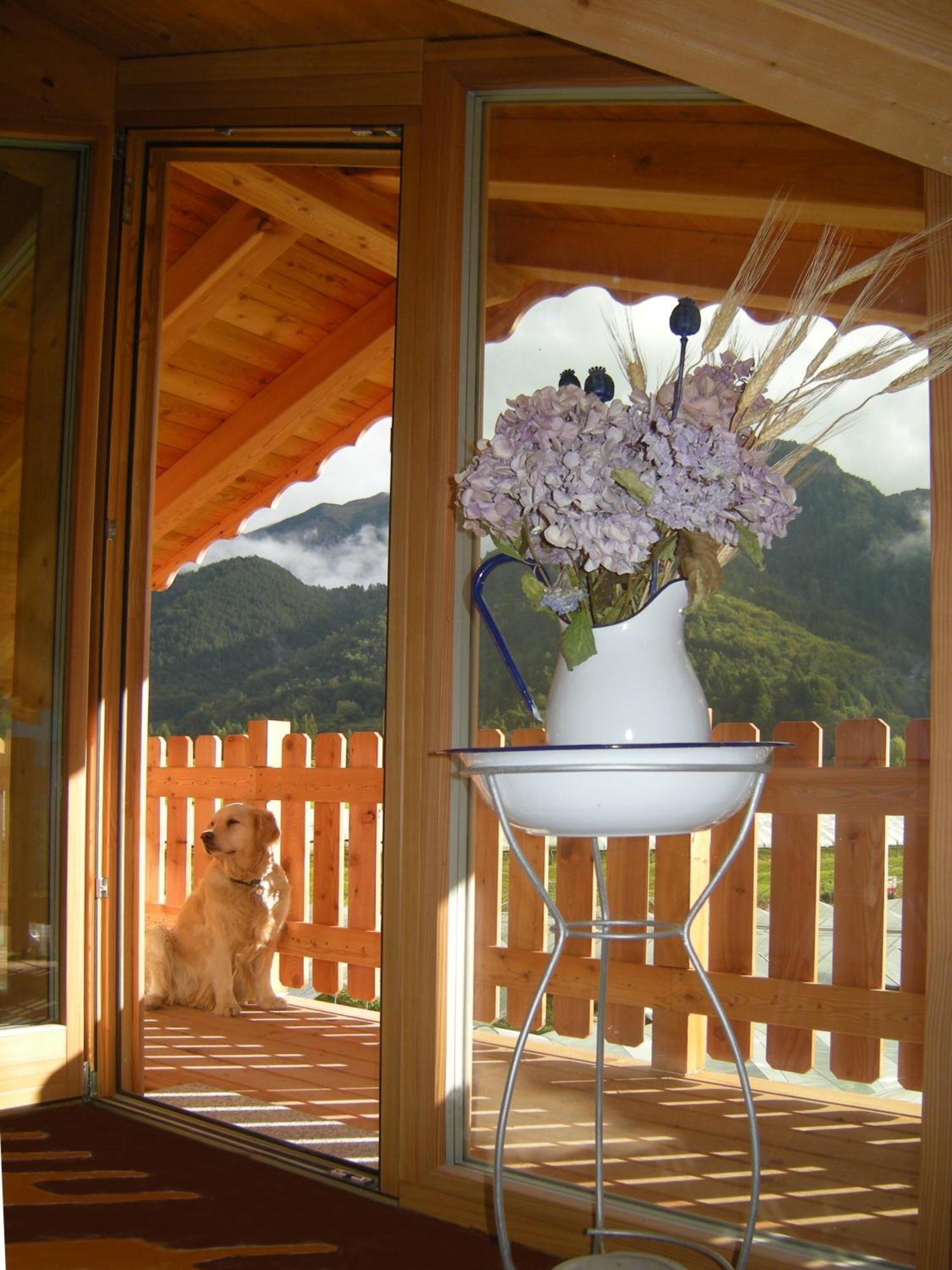 Bed and Breakfast Garni Dal Mozat Lenzumo di Concei Exterior foto